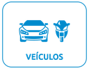 Veiculos